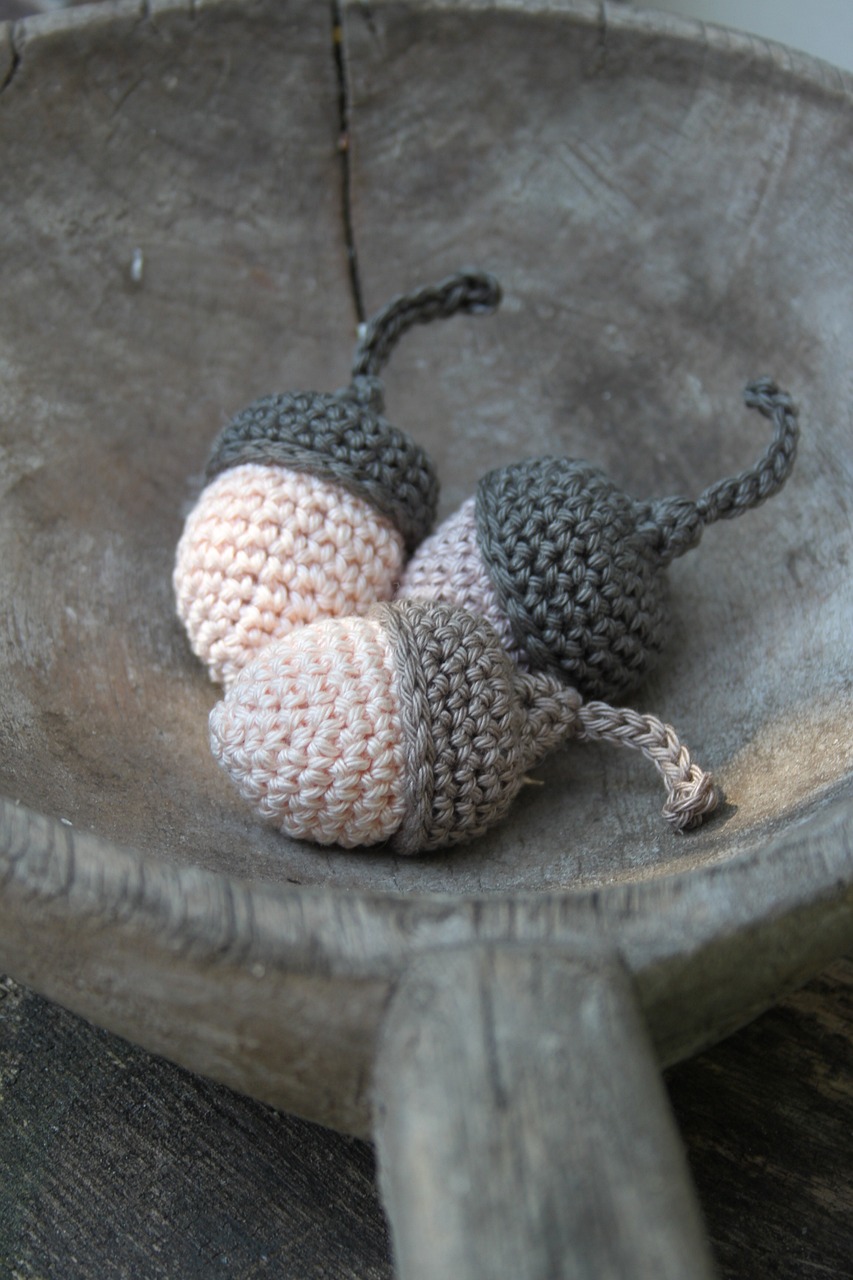 acorn