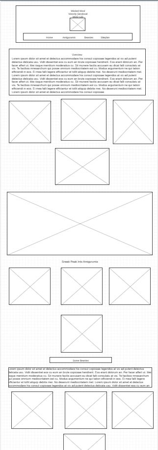 home page wireframe