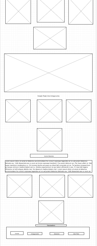 home page wireframe pt.2